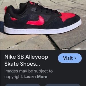 Nike SB Alleyoops Black with Red Accents